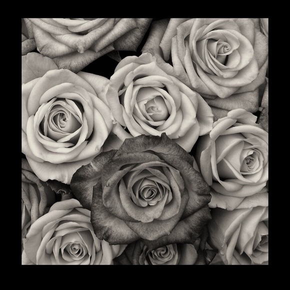 Please click to know more about me and my closet🤗 - Picture 13 of 16